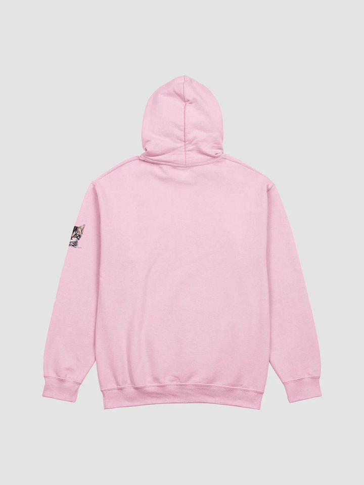 Classic Hoodie Cat product image (18)