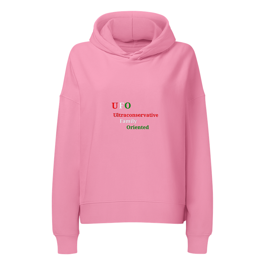 UFO Ultraconservative Family Oriented Hoodie product image (1)