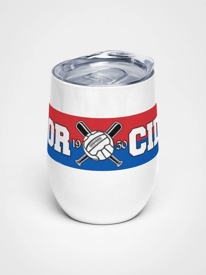 TORCIDA Soccer Wine Tumbler product image (1)