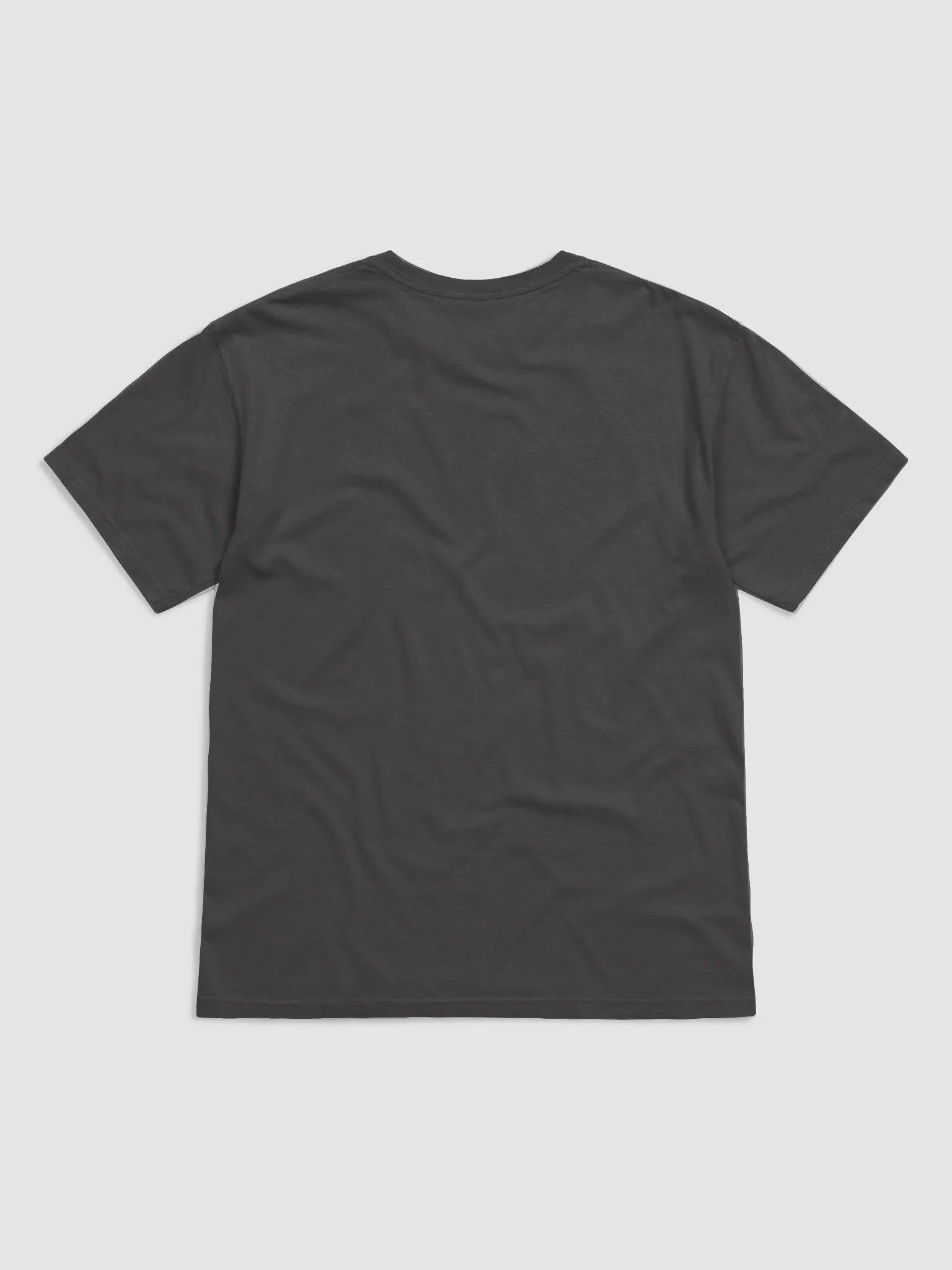 Fear the Beard T-Shirt of a Schnauzer (Black) | Funny T-Shirt for Bearded Dog Paw-rents product image (24)