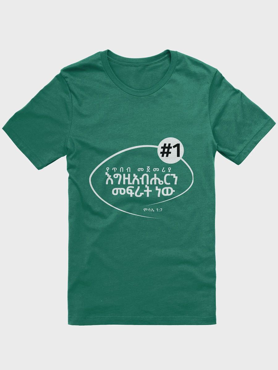 'Proverbs 1:7' T-shirt product image (5)