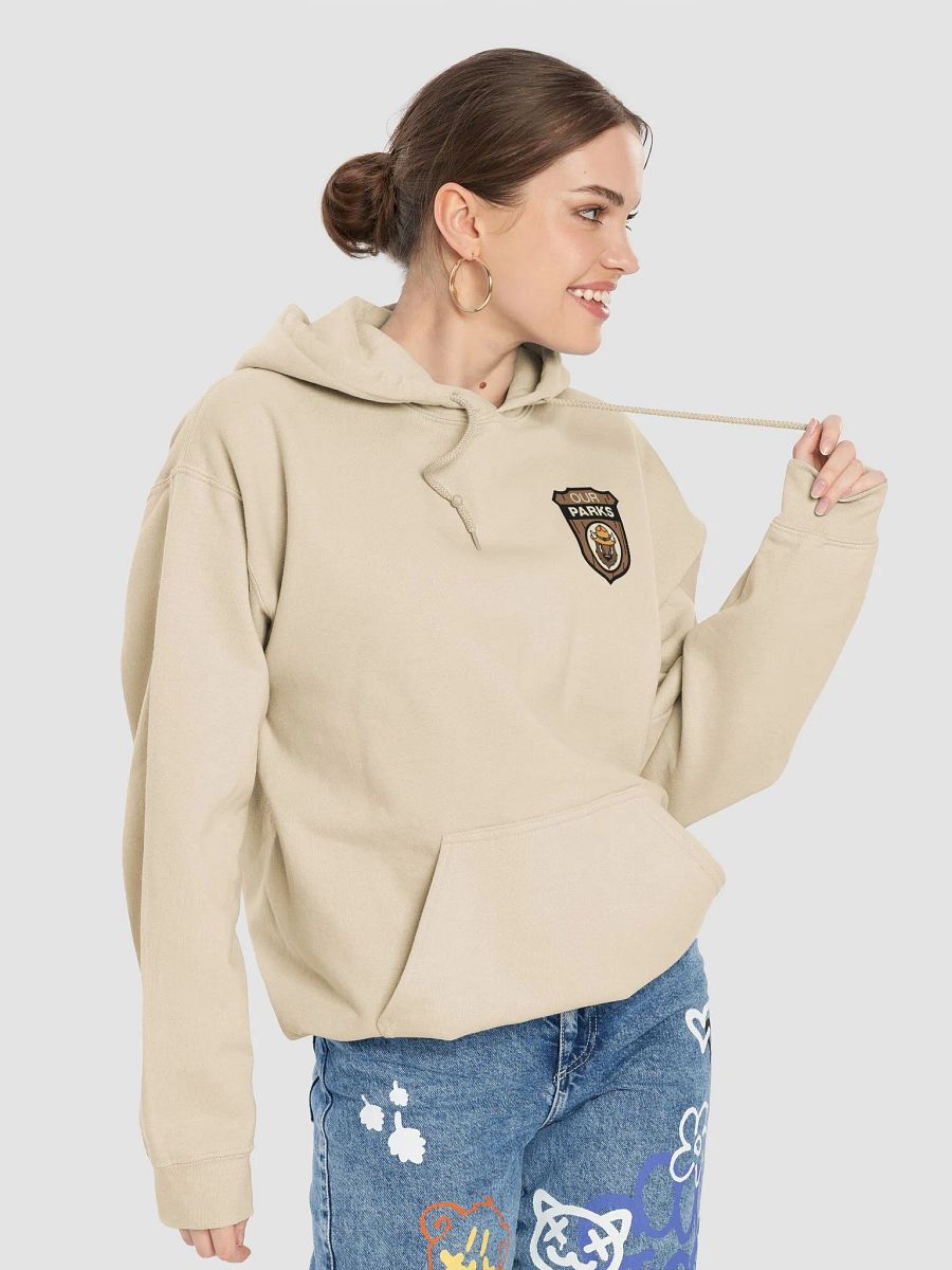 We've been DEFUNDED Smokey Our Parks Bear Pullover Hoodie Alt National Parks product image (7)
