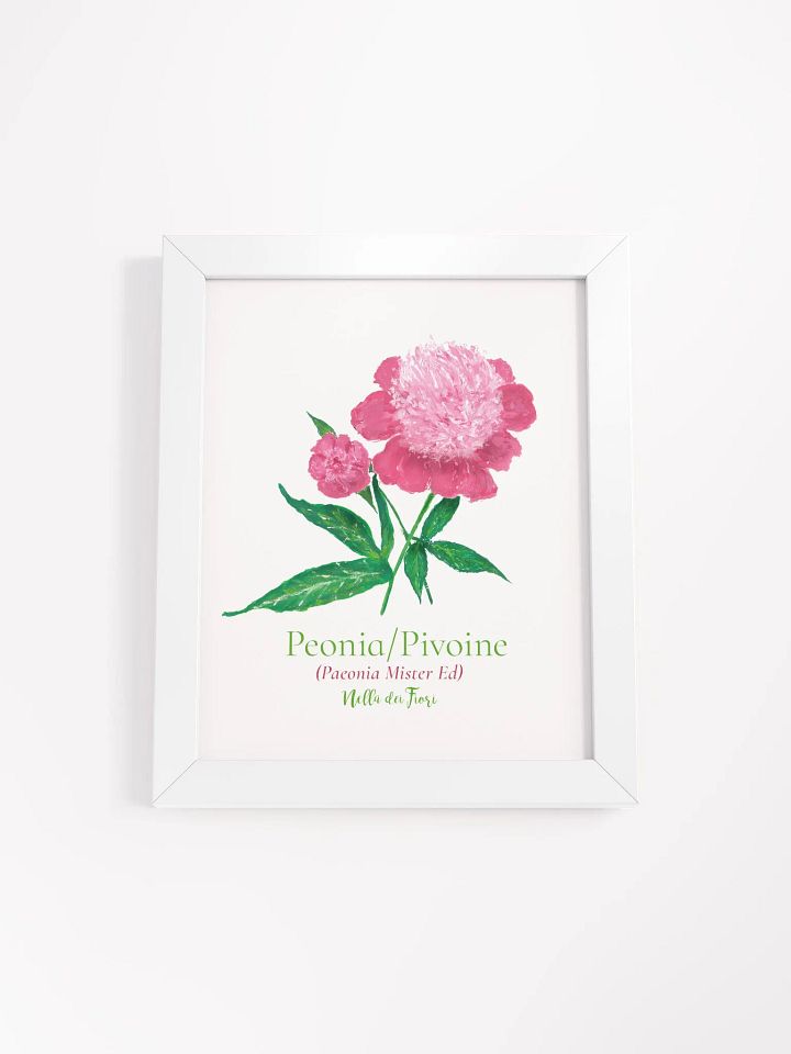 Pivoine Botanicus Frame product image (4)