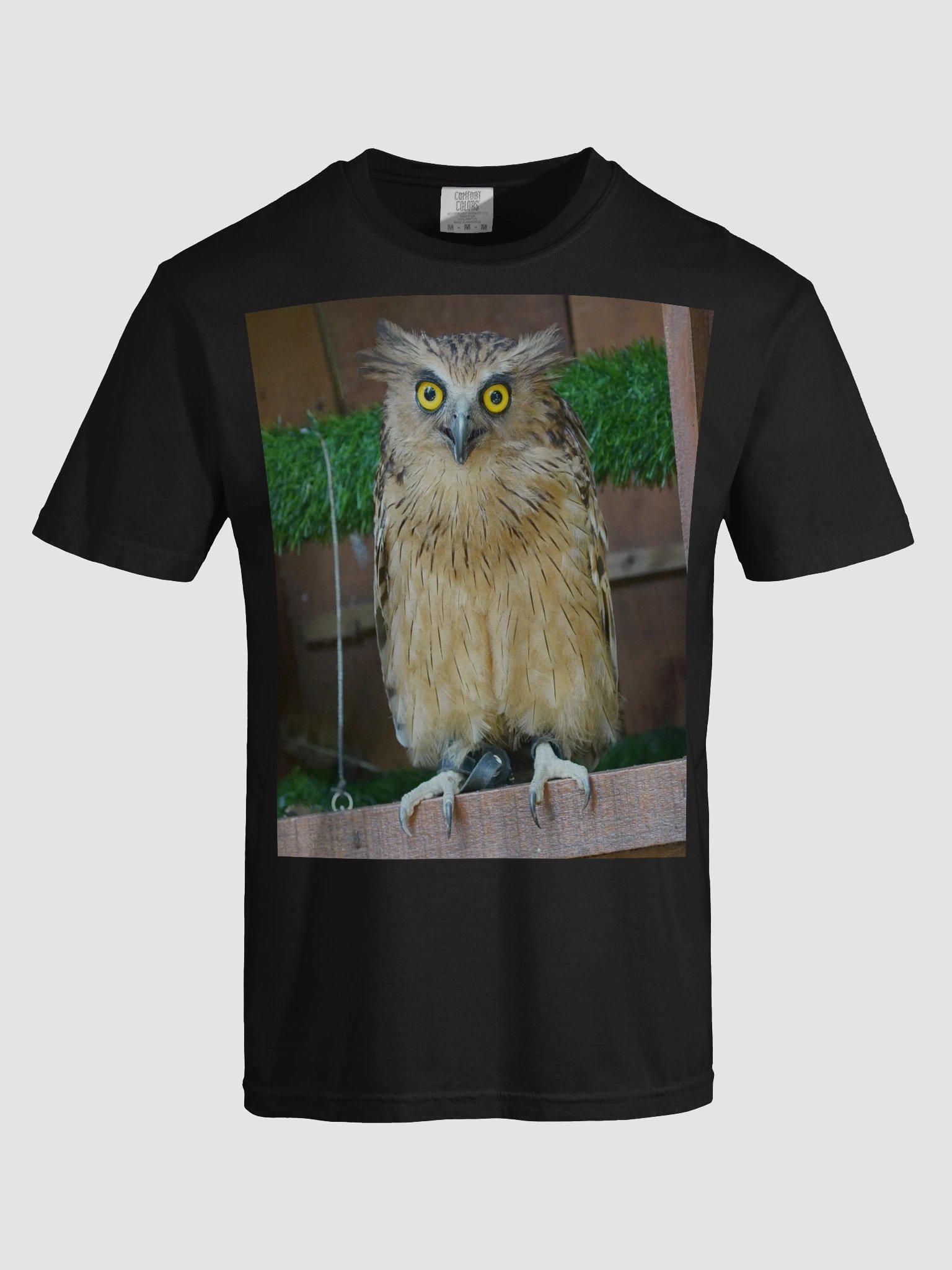 Owl Eyes Comfort Tee product image (5)