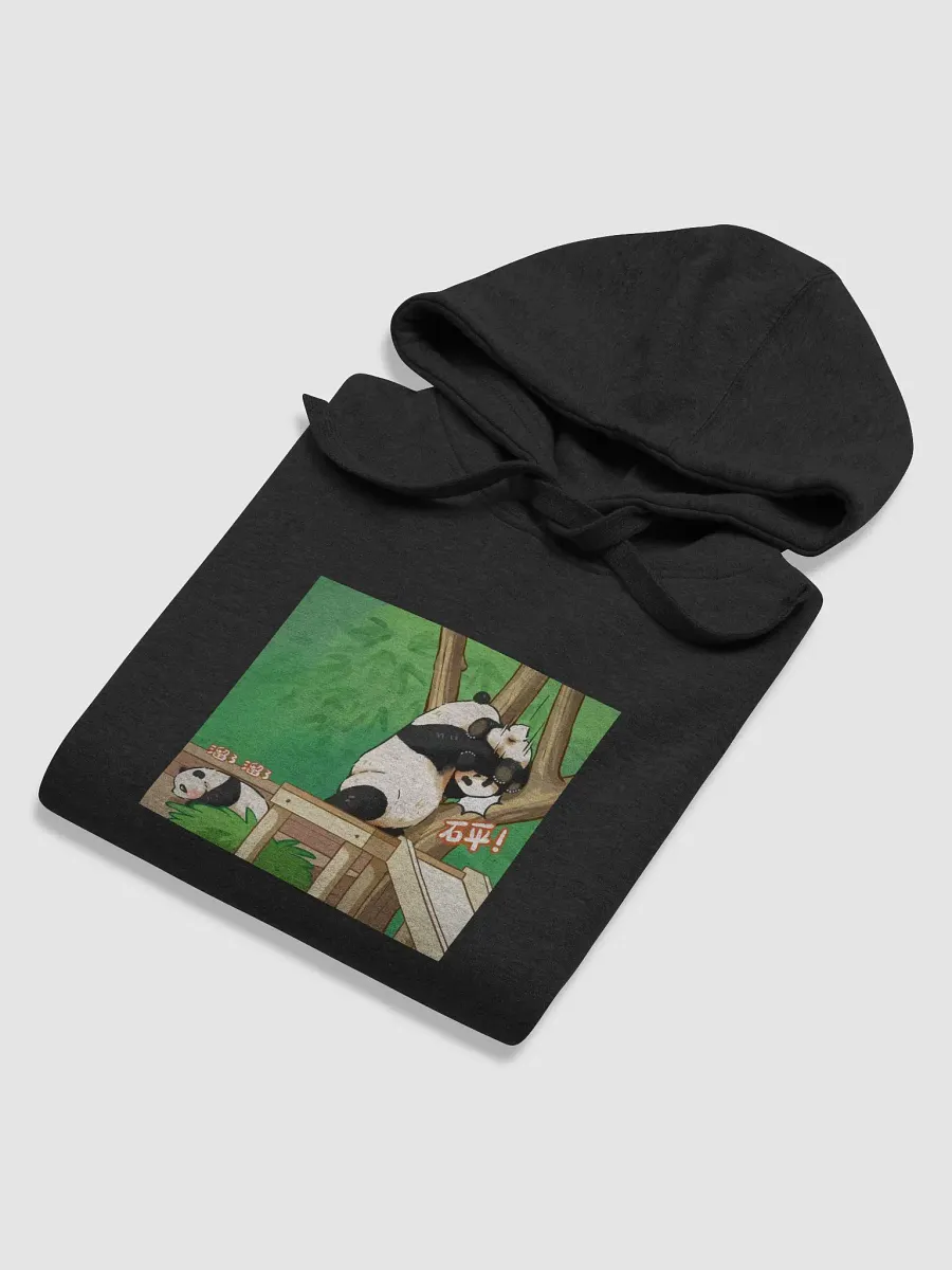 huibao and ruibao Panda product image (6)