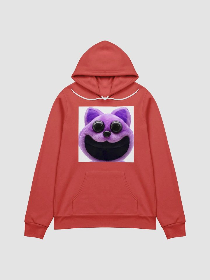 Ajs fun house hoodie product image (1)