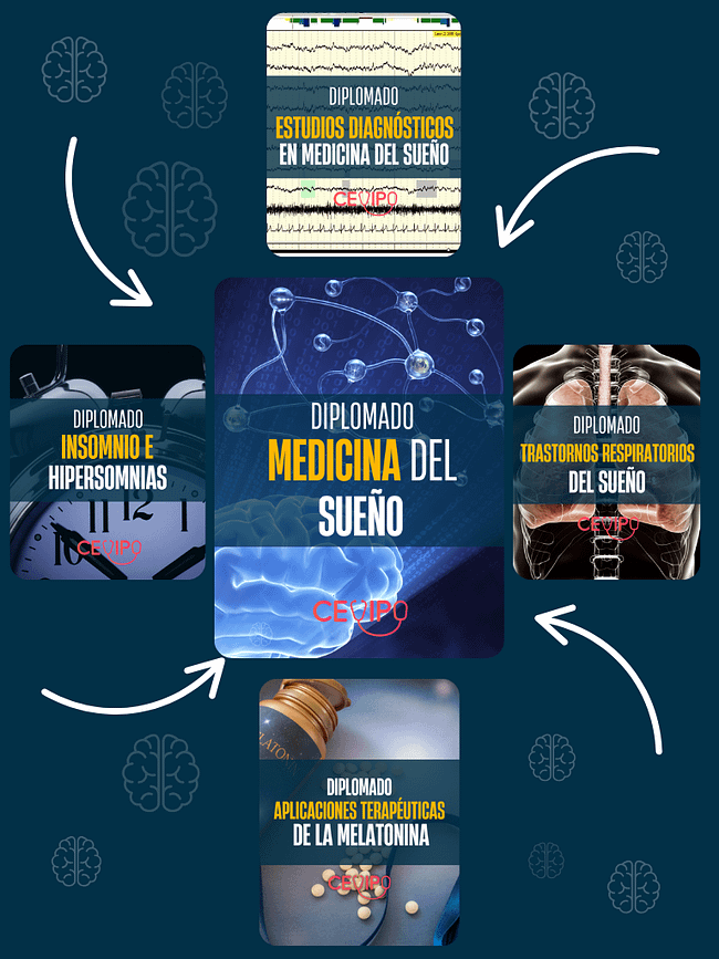 Diplomados Virtuales