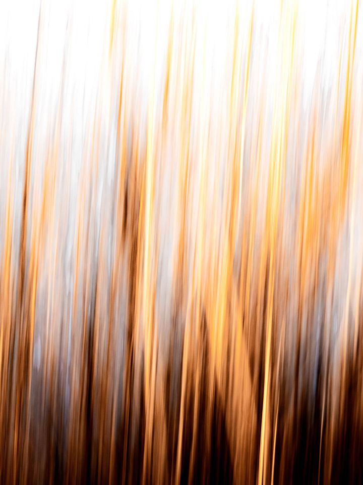Brush Fire product image (1)