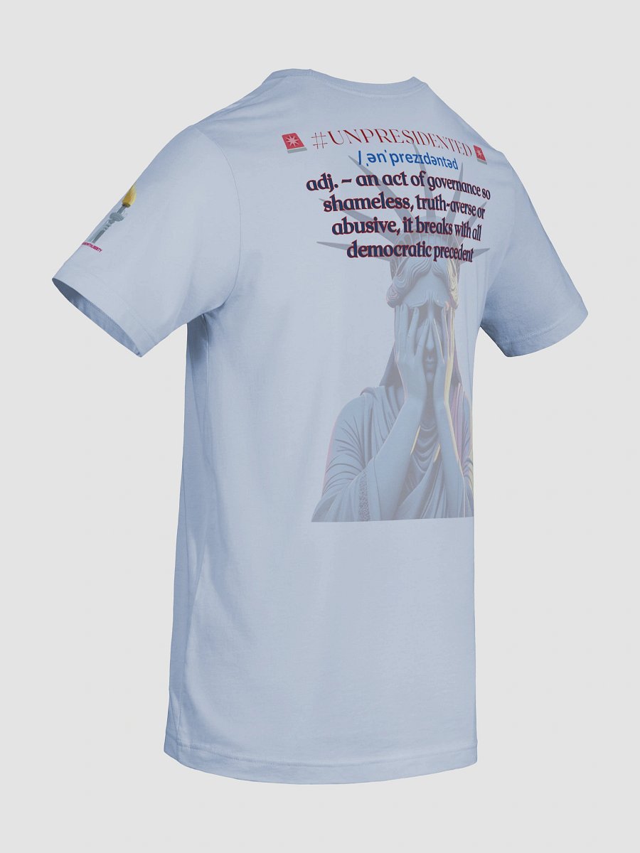 Stand With Liberty Barbed Wire American Flag, US Flag Bella & Canvas 3001 Supersoft Tee product image (10)