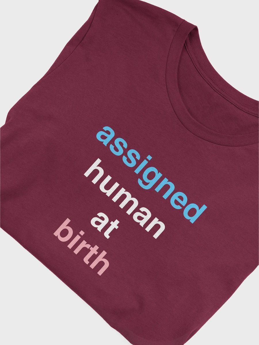 Assigned Human At Birth Trans T-Shirt product image (5)