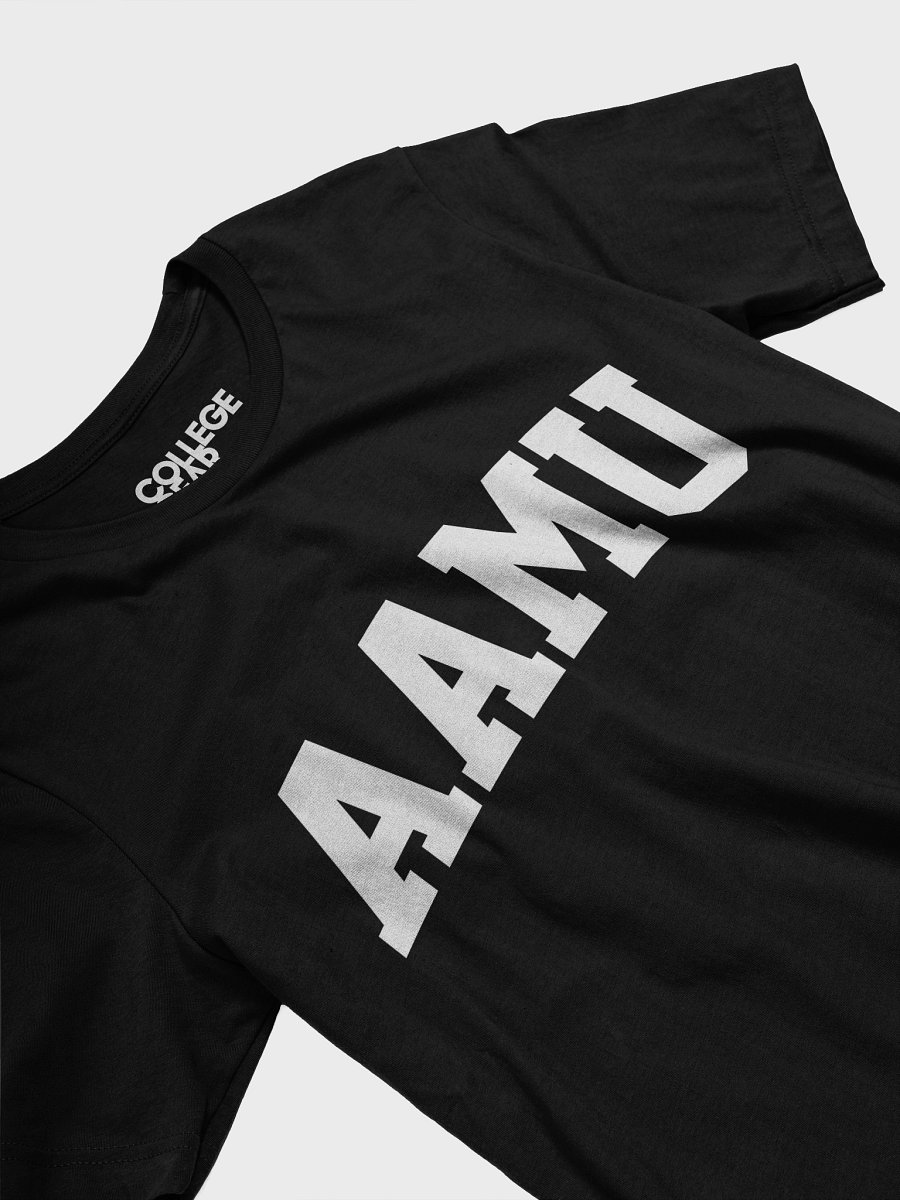 AAMU Sports Arch College Vintage Athletic University Logo T-Shirt product image (3)