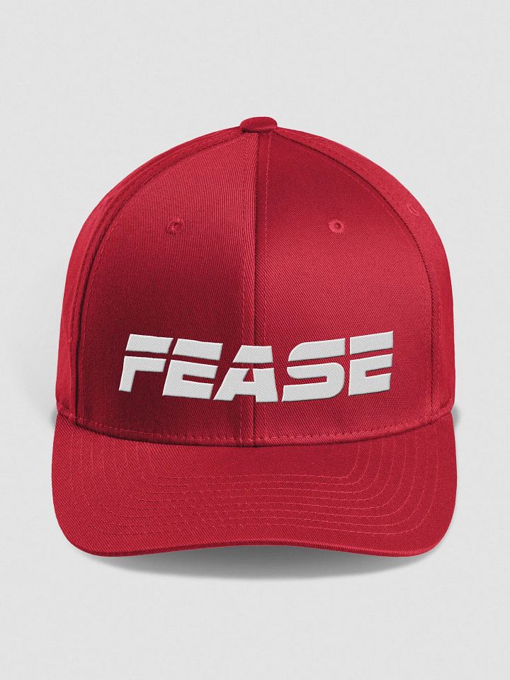 Fease Flexfit product image (1)