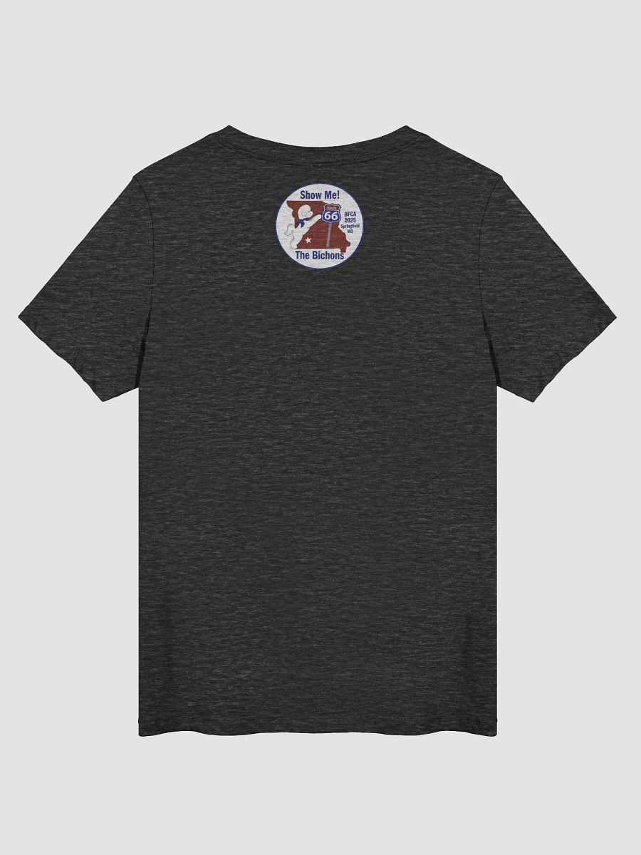 2025 National Specialty Bella + Canvas Women's V-Neck Back Design product image (11)