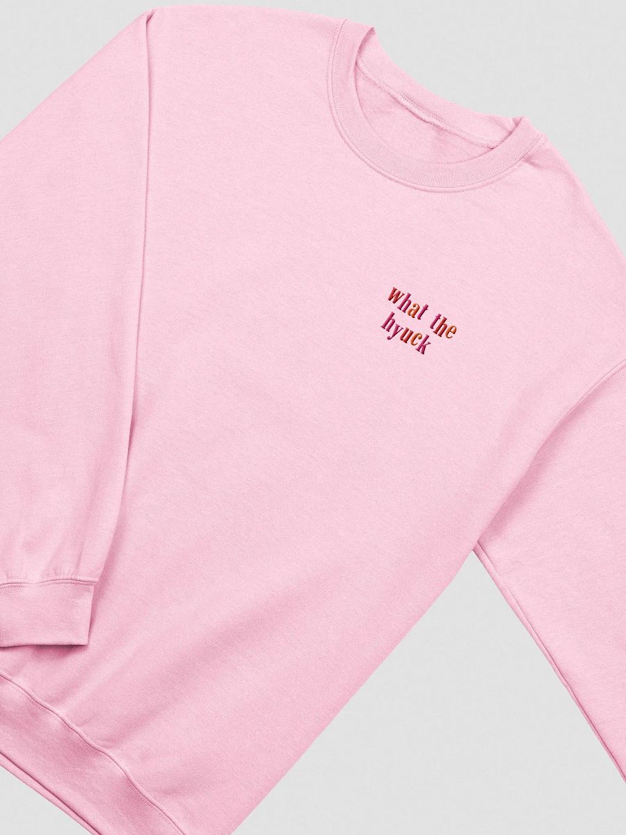 what the hyuck embroidered crewneck (multicolored) product image (3)