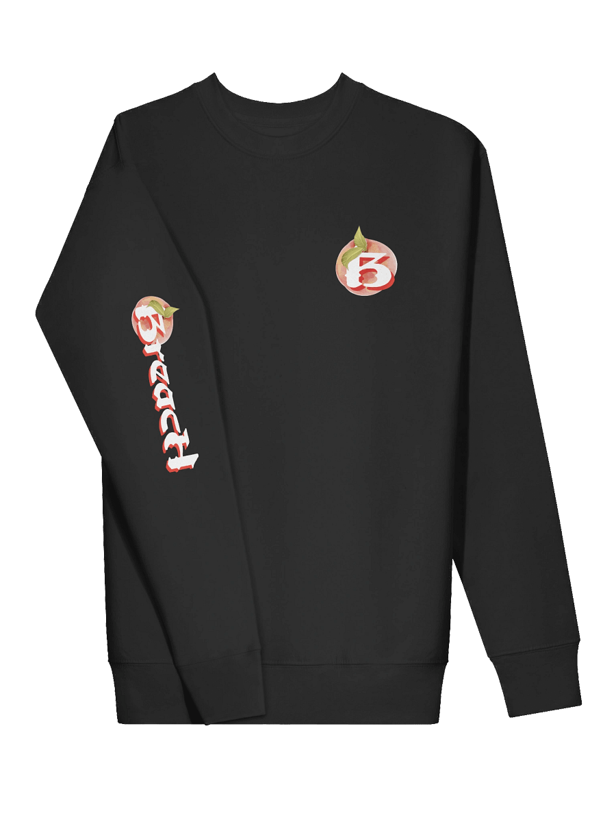 Breach Alpharetta Peach Crewneck (Dark) product image (3)