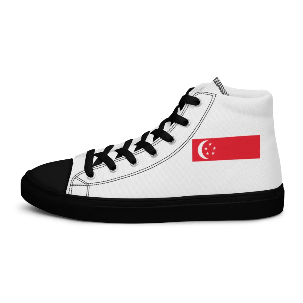 singapore product image (6)