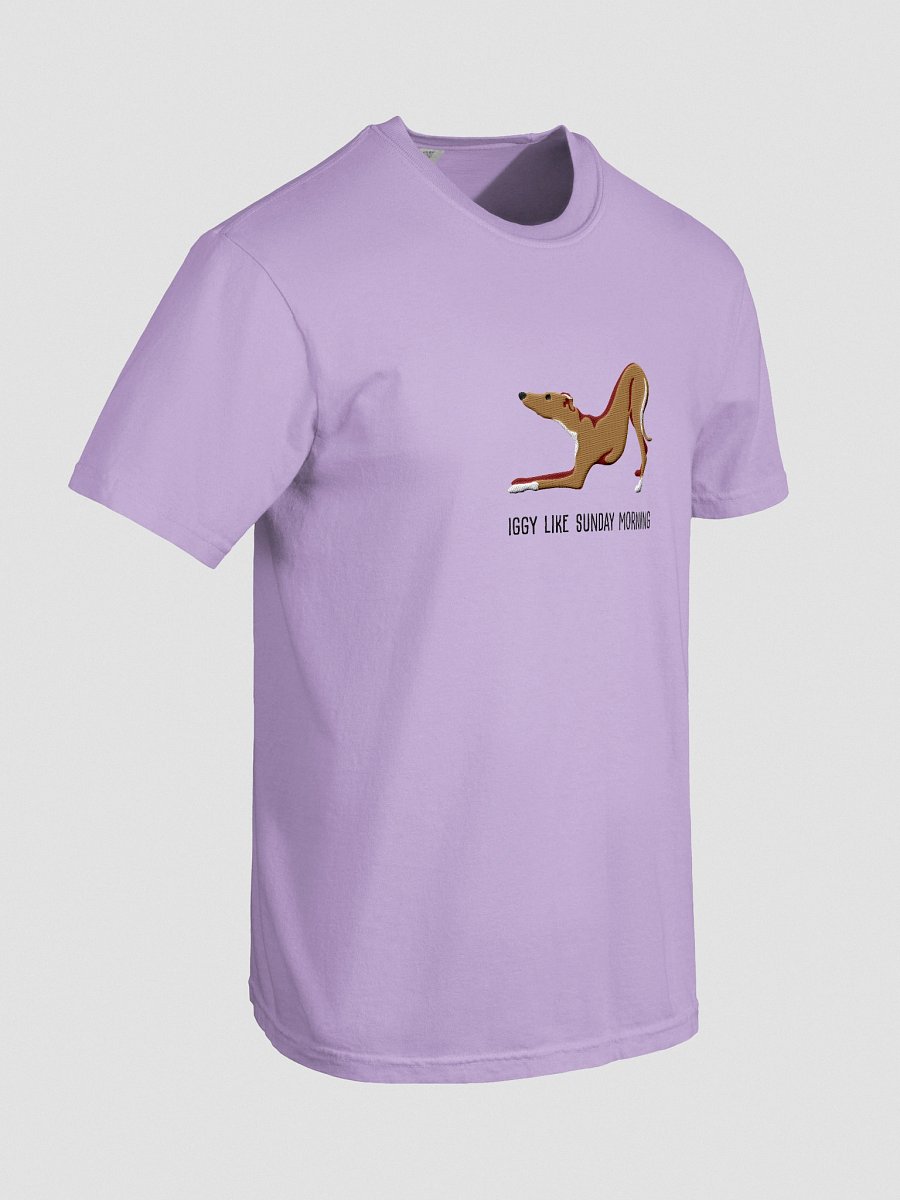 Iggy Like Sunday Morning T-Shirt(Embroidered) of an Italian Greyhound(Tan) product image (48)