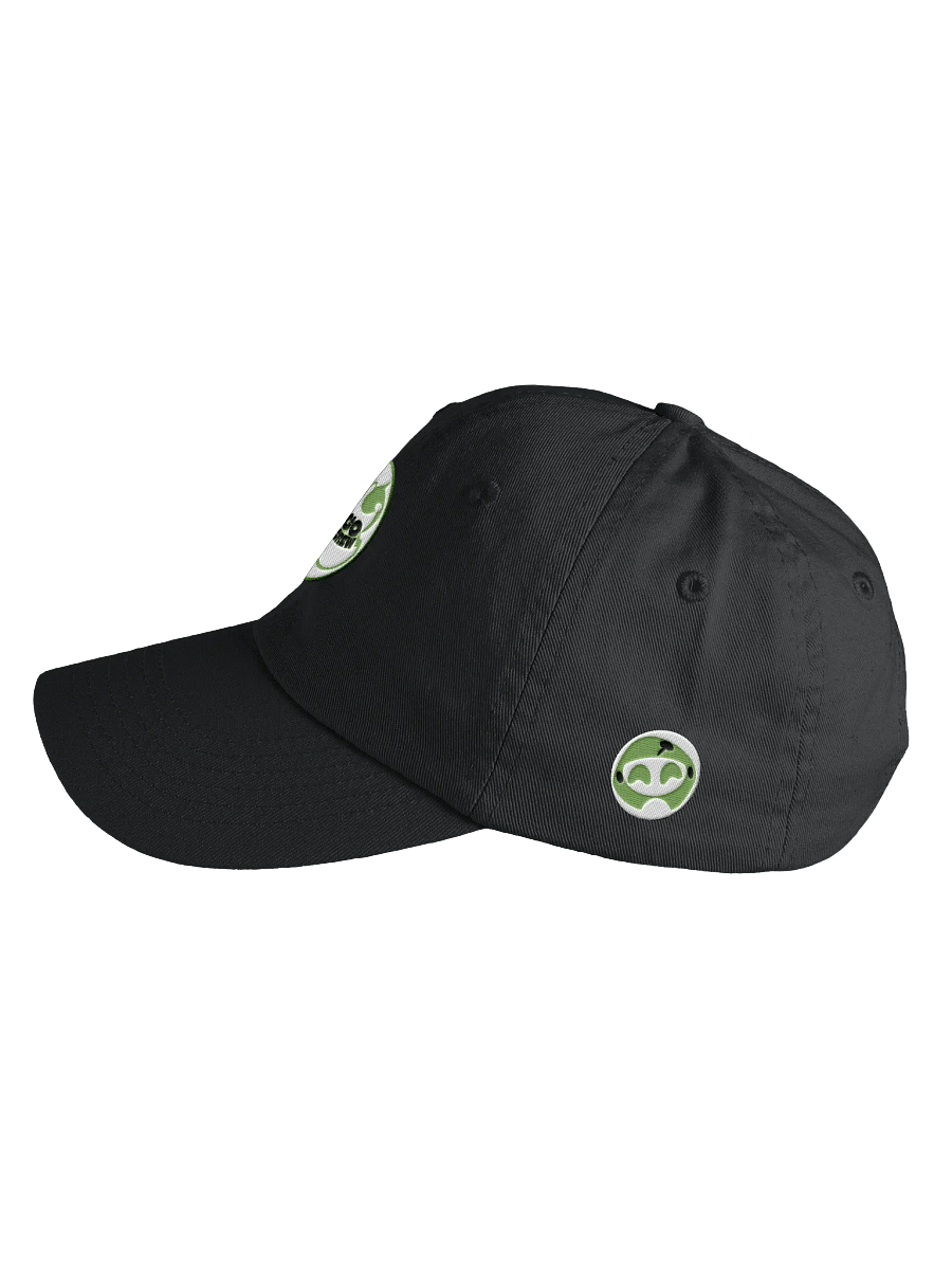 The Go-Go Crew Gweebo Logo Cap | Kids' Apparel product image (6)