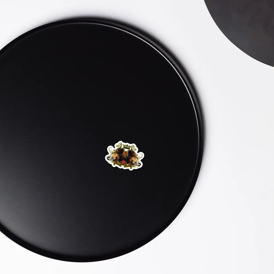 WANDER PHILOSOPHY 101 (magnet( product image (4)