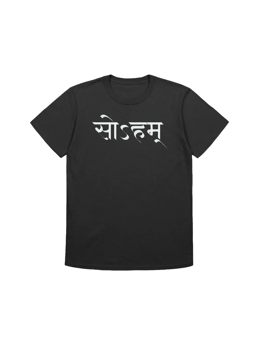 So'ham Sanskrit Script Tee product image (1)
