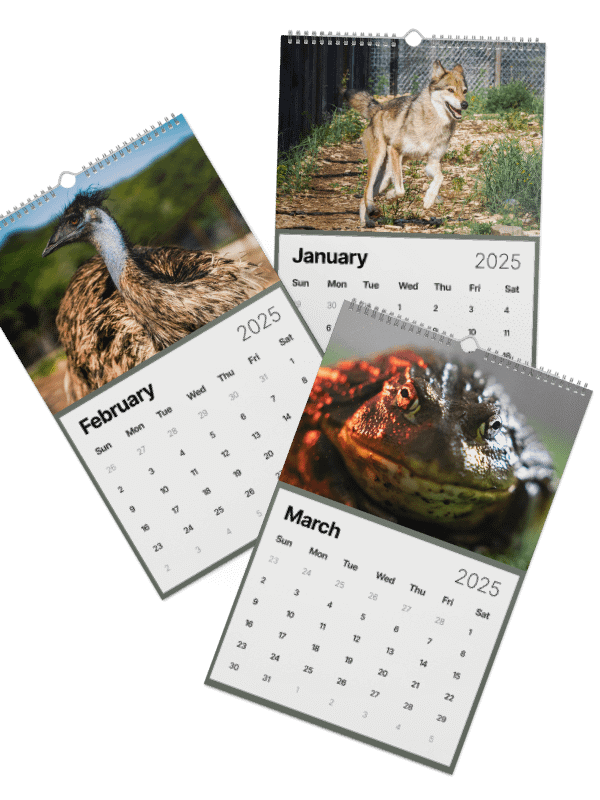 Alveus 2025 Calendar product image (36)