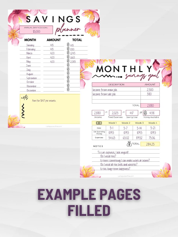 Kakeibo Budget Planner product image (2)