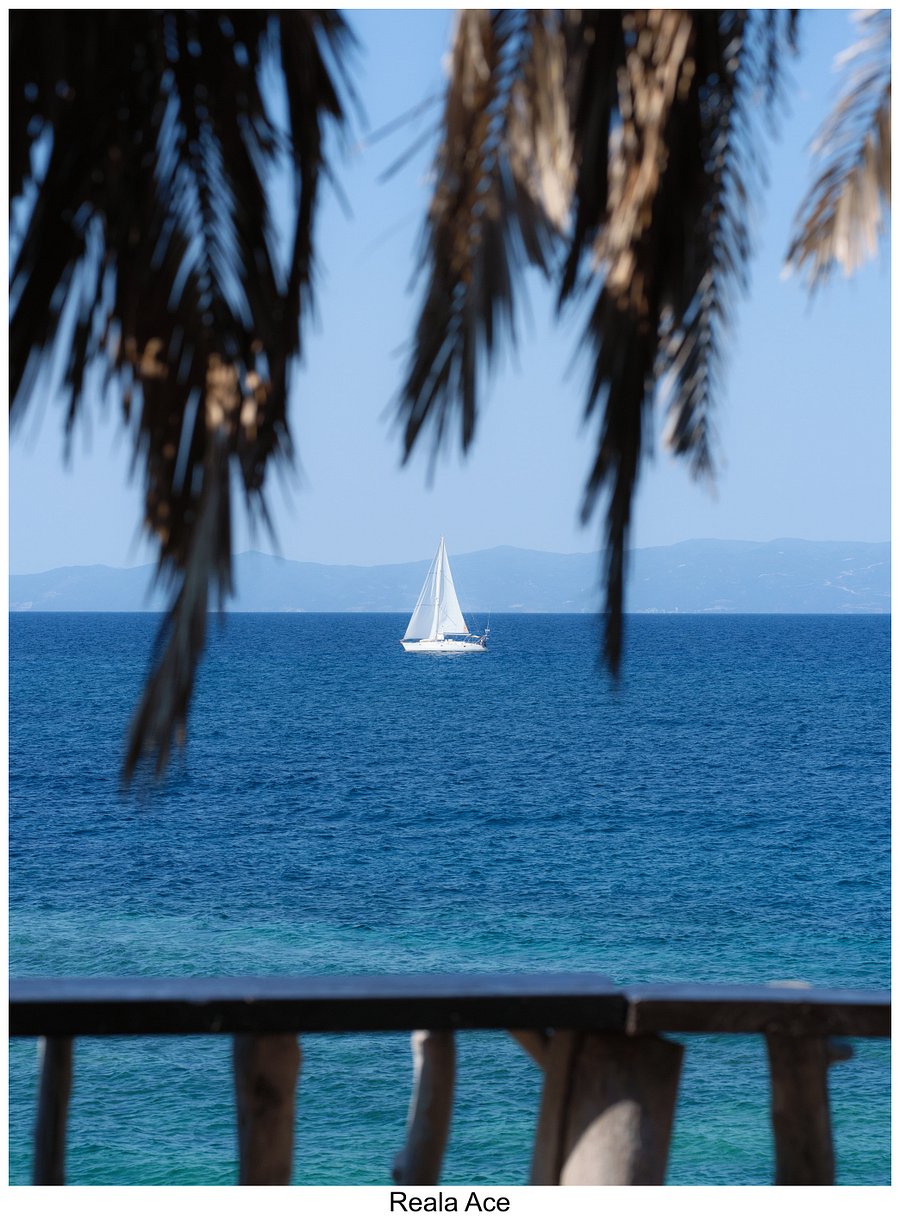 Fujify [Sony] Lightroom Profiles product image (9)