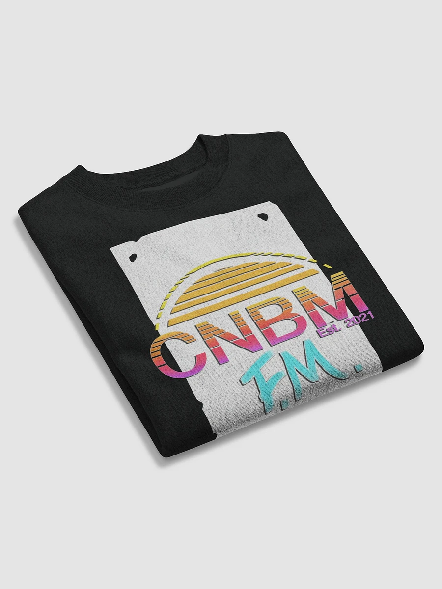 CNBM FM product image (11)