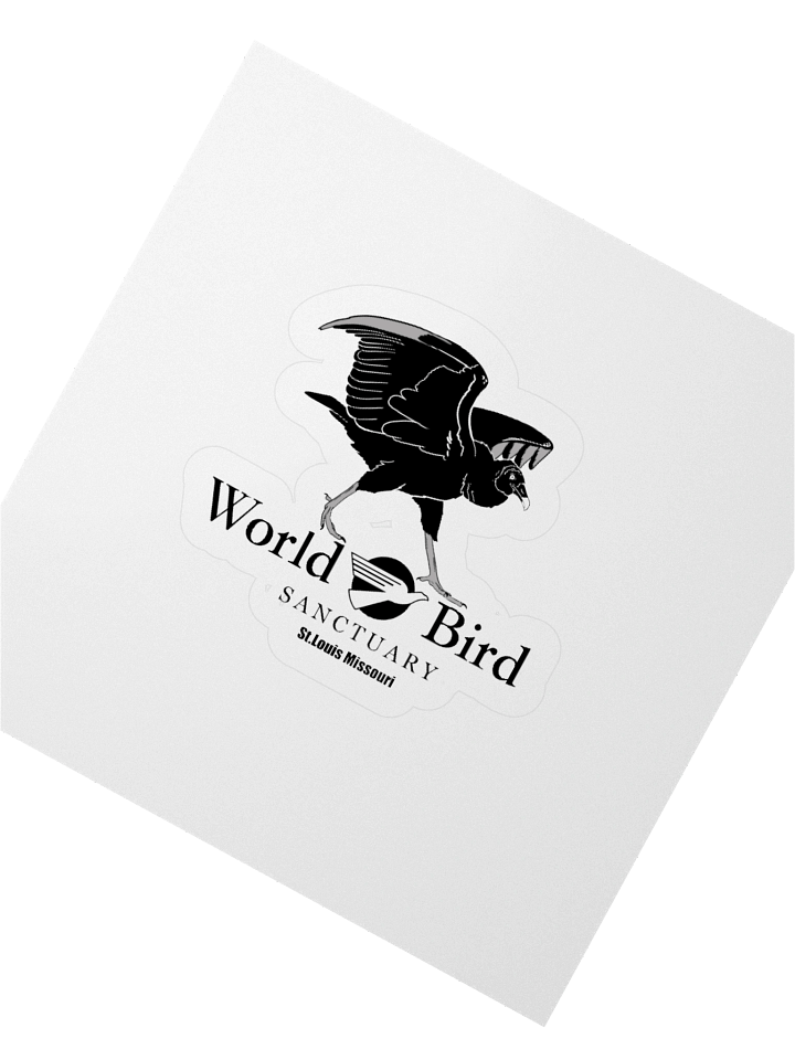 Cash Black Vulture Sticker product image (6)