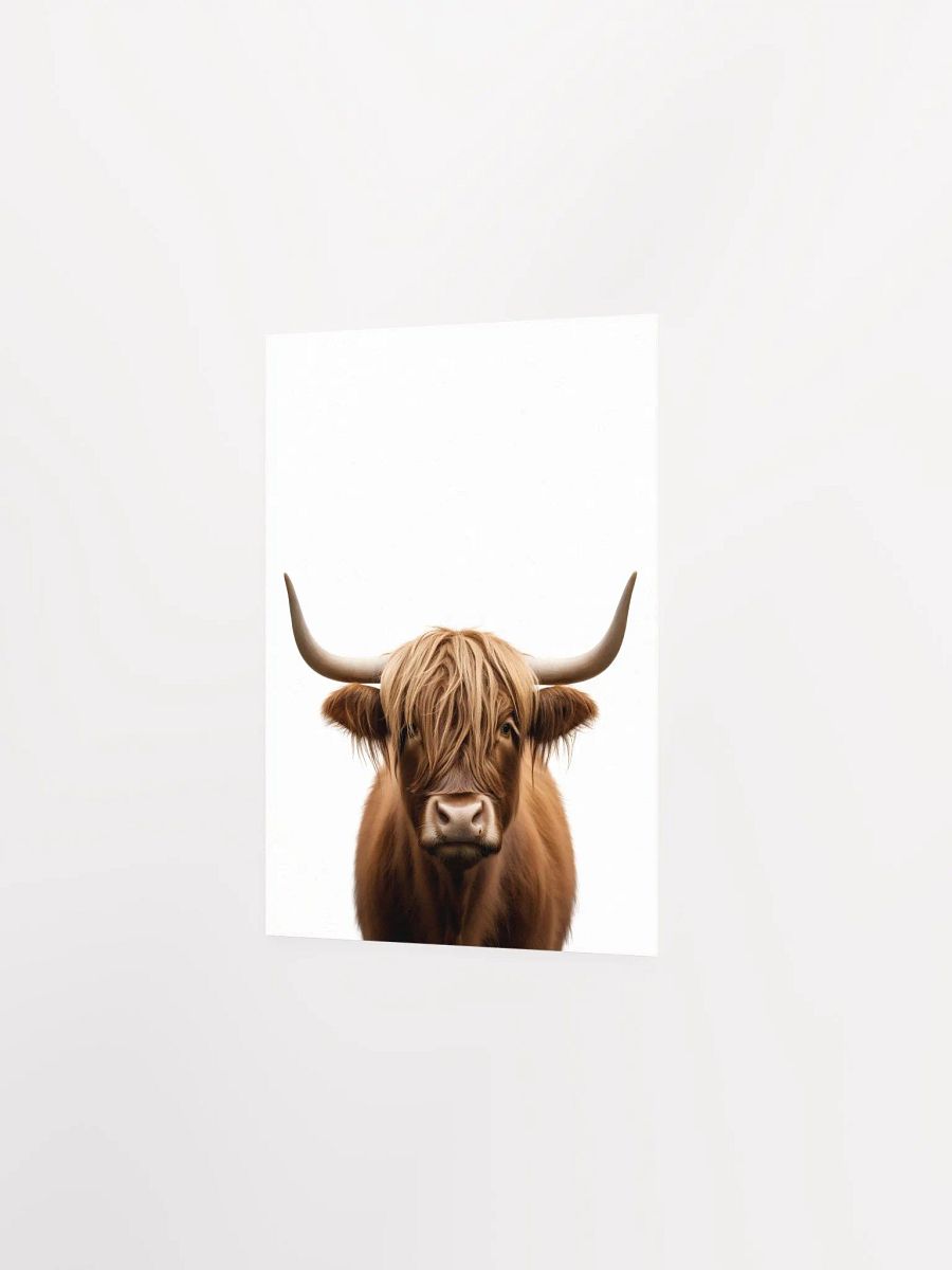 Highland Cow Portrait product image (4)