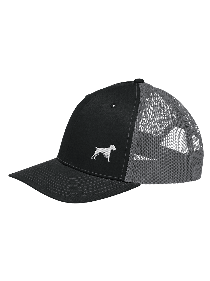 Bird Dogs Baseball Hat product image (6)