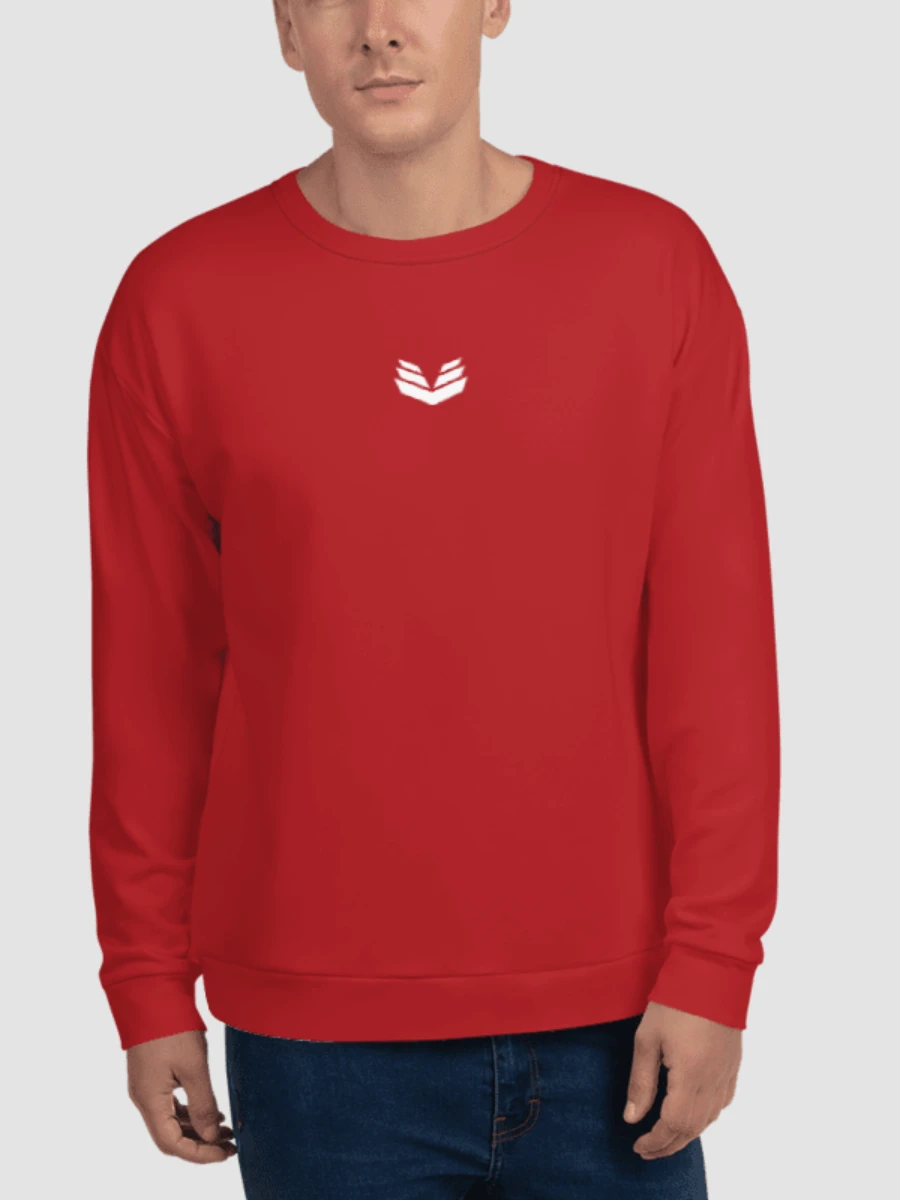 Sweatshirt - Berry Red product image (3)