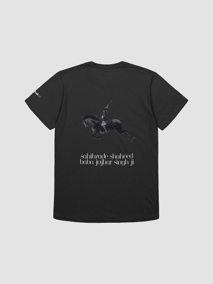 Sikh Warriors: A Akal Crew Collection - Sahibzade Shaheed Baba Jujhar Singh Ji product image (2)