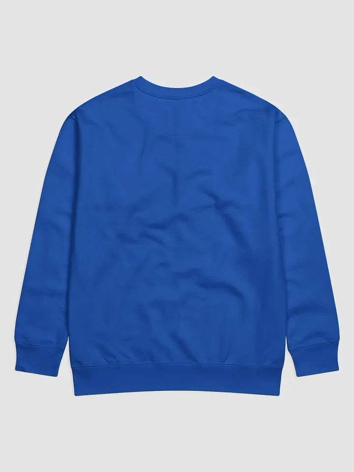TDS Music Cotton Heritage Premium Sweatshirt in Green, Blue, White, Navy, Gray, Pink (S-3XL) product image (2)