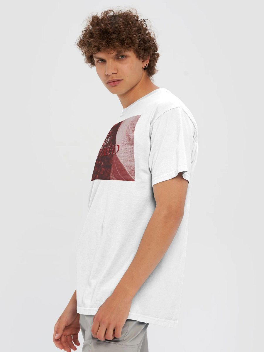 Cranberry Bogger's Delight: Plympton Red Faded edition T-shirt product image (6)