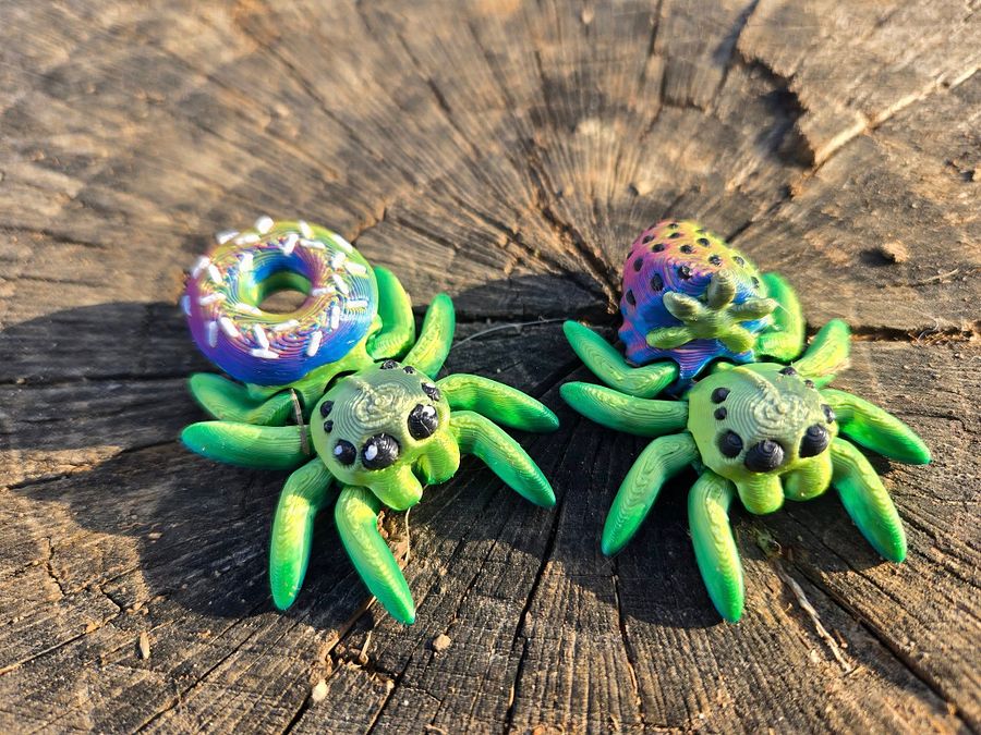 Adopt a Spider! product image (6)