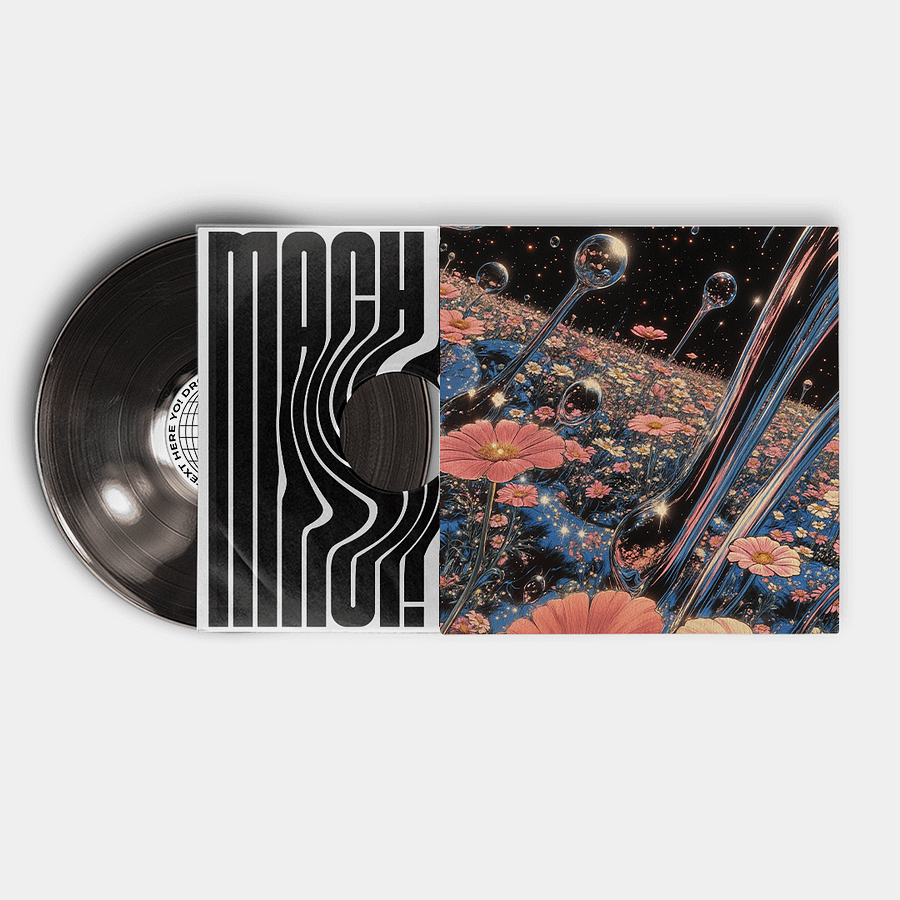 Vinyl Records Mockup Vol.1 (PSD) product image (2)