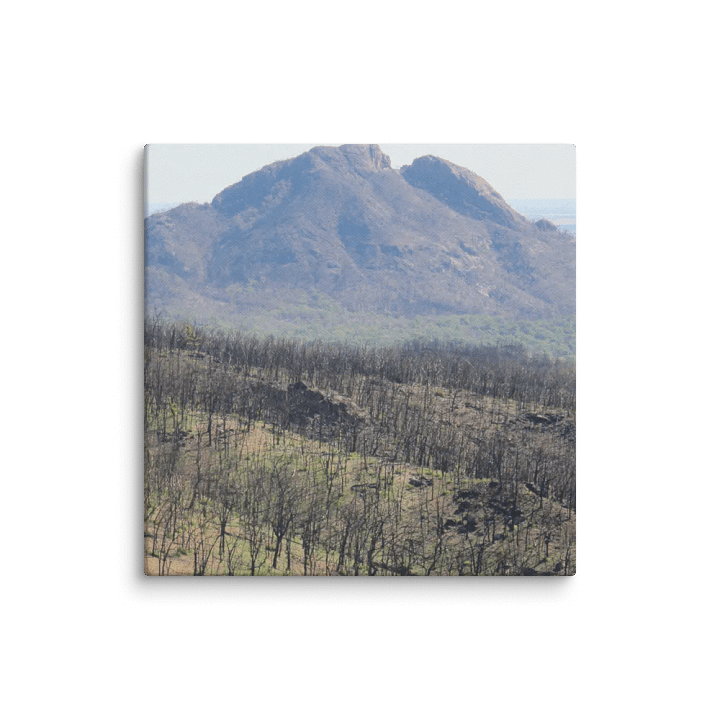 Historic Coonabarabran NSW Fire Canvas product image (2)