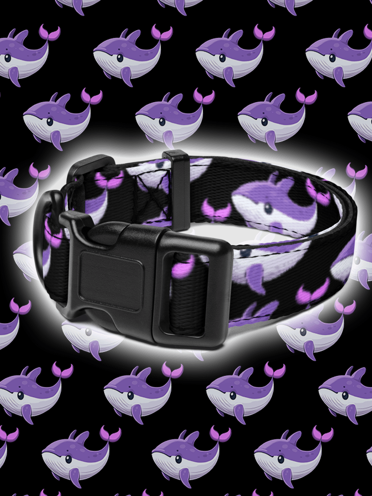 Whale Pet Collar product image (1)
