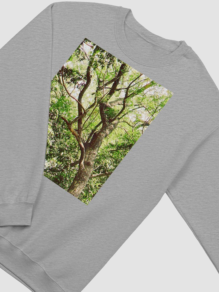 Earth tone DIVINE MUSIC sweatshirt product image (2)