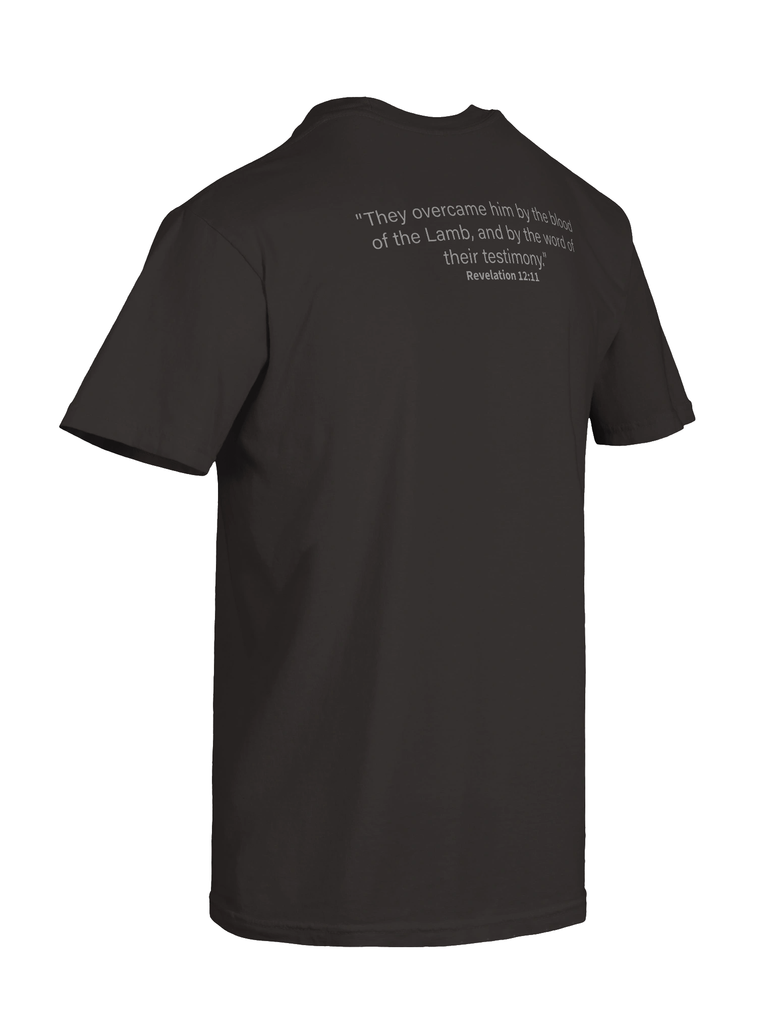 Christ for the Crisis 1 product image (10)