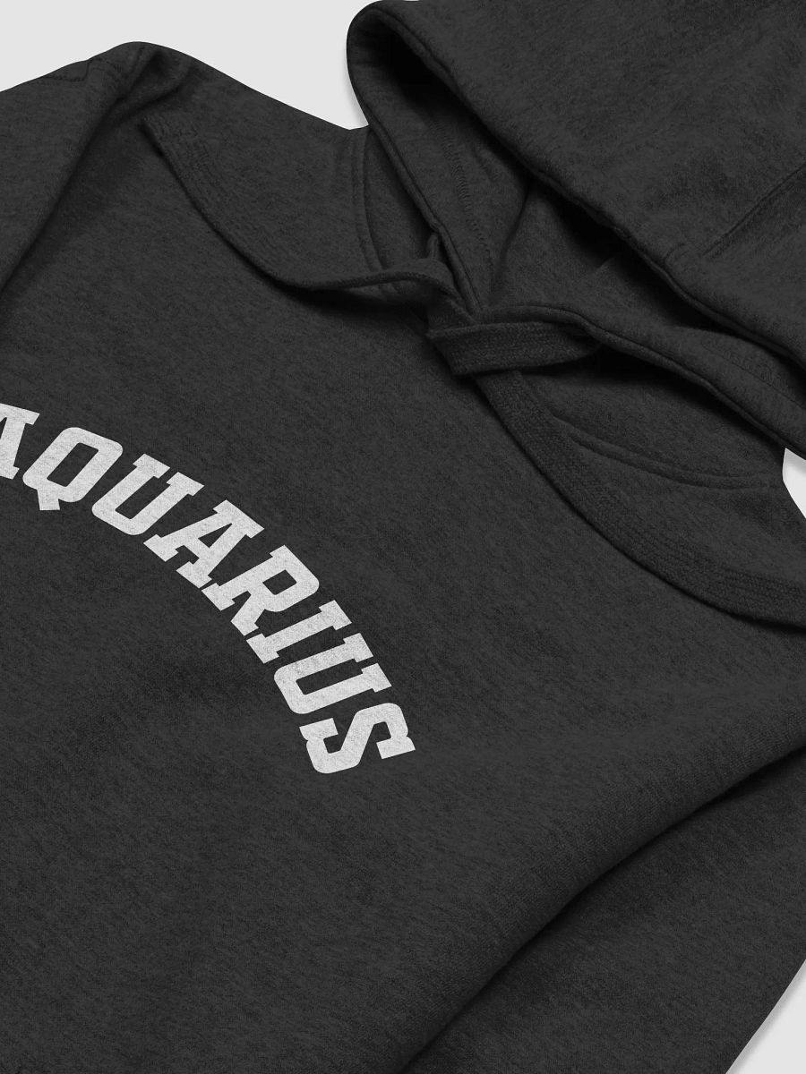 Aquarius Hoodie product image (23)