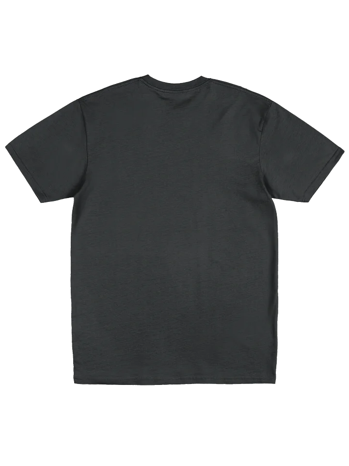 Avatarnity Men's Premium Heavyweight Tee product image (2)