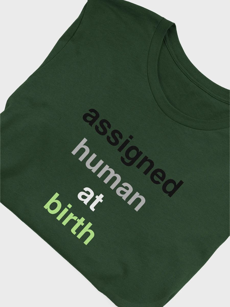 assigned human at birth agender t-shirt product image (5)