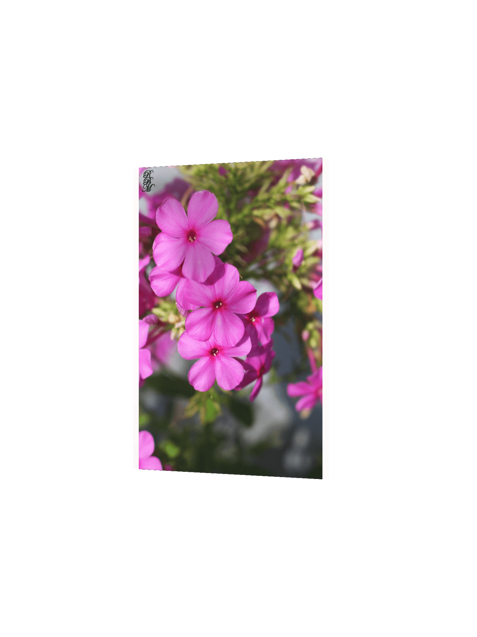 Little Pink Flowers product image (6)
