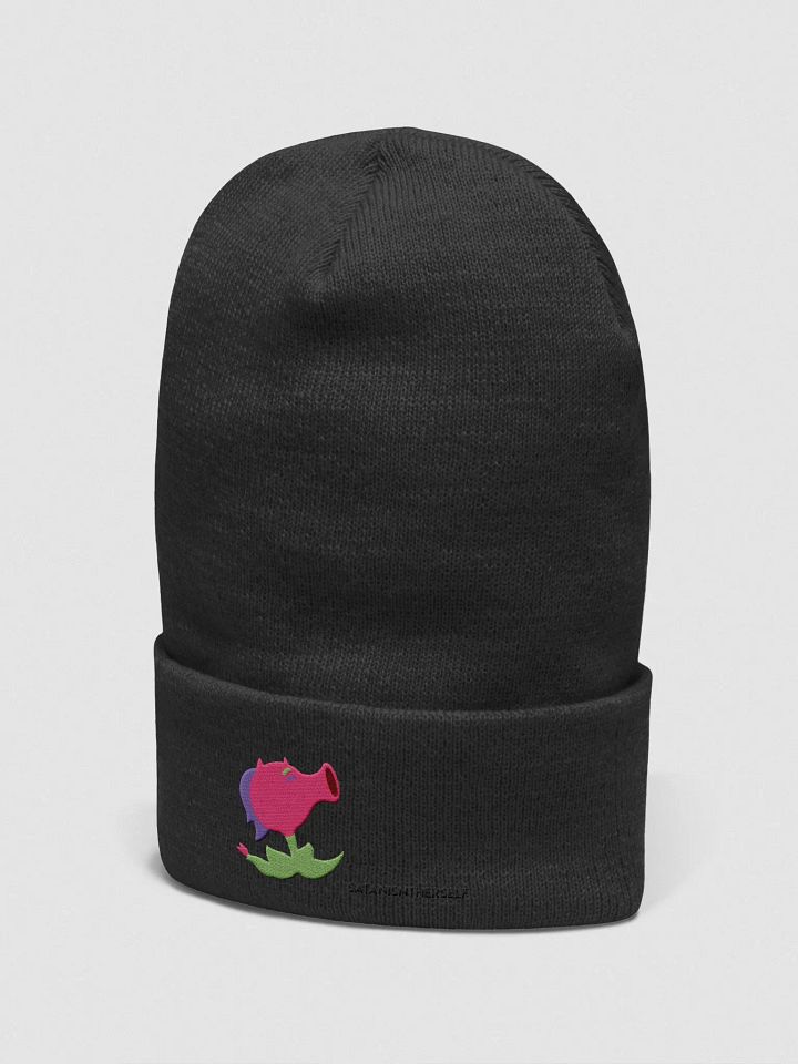 Spicy Pea Beanie product image (2)