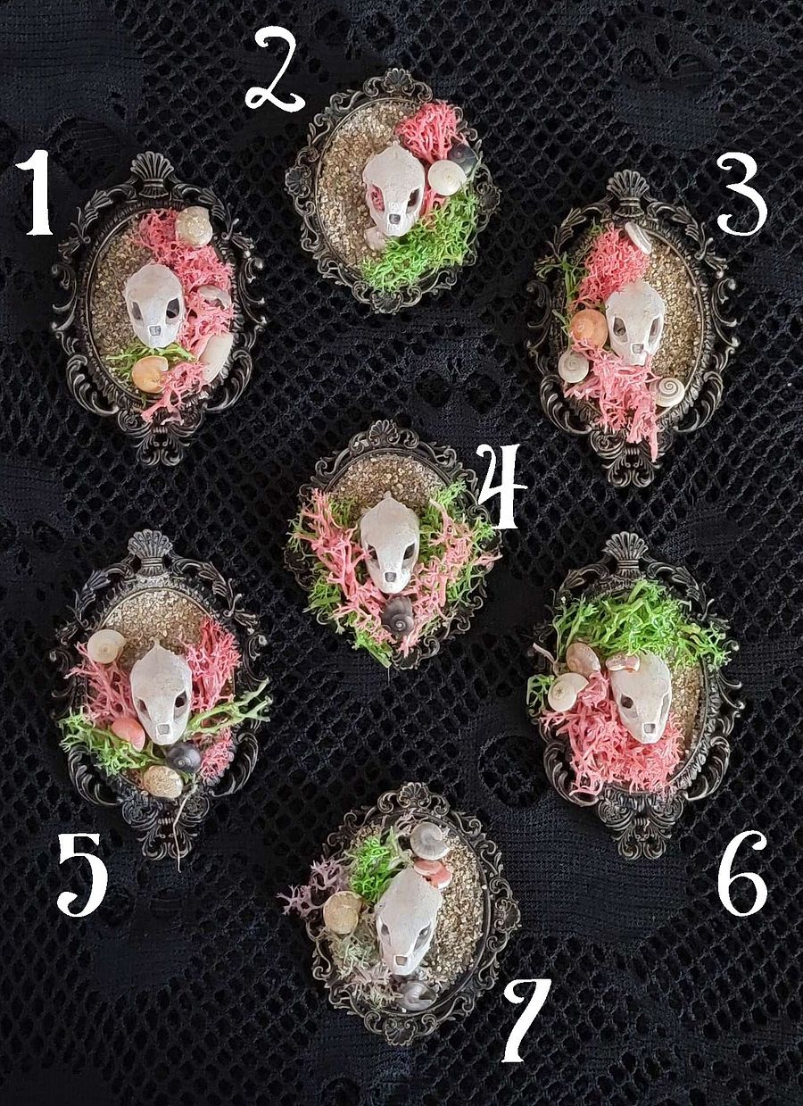 Sea Turtle Magnet product image (2)