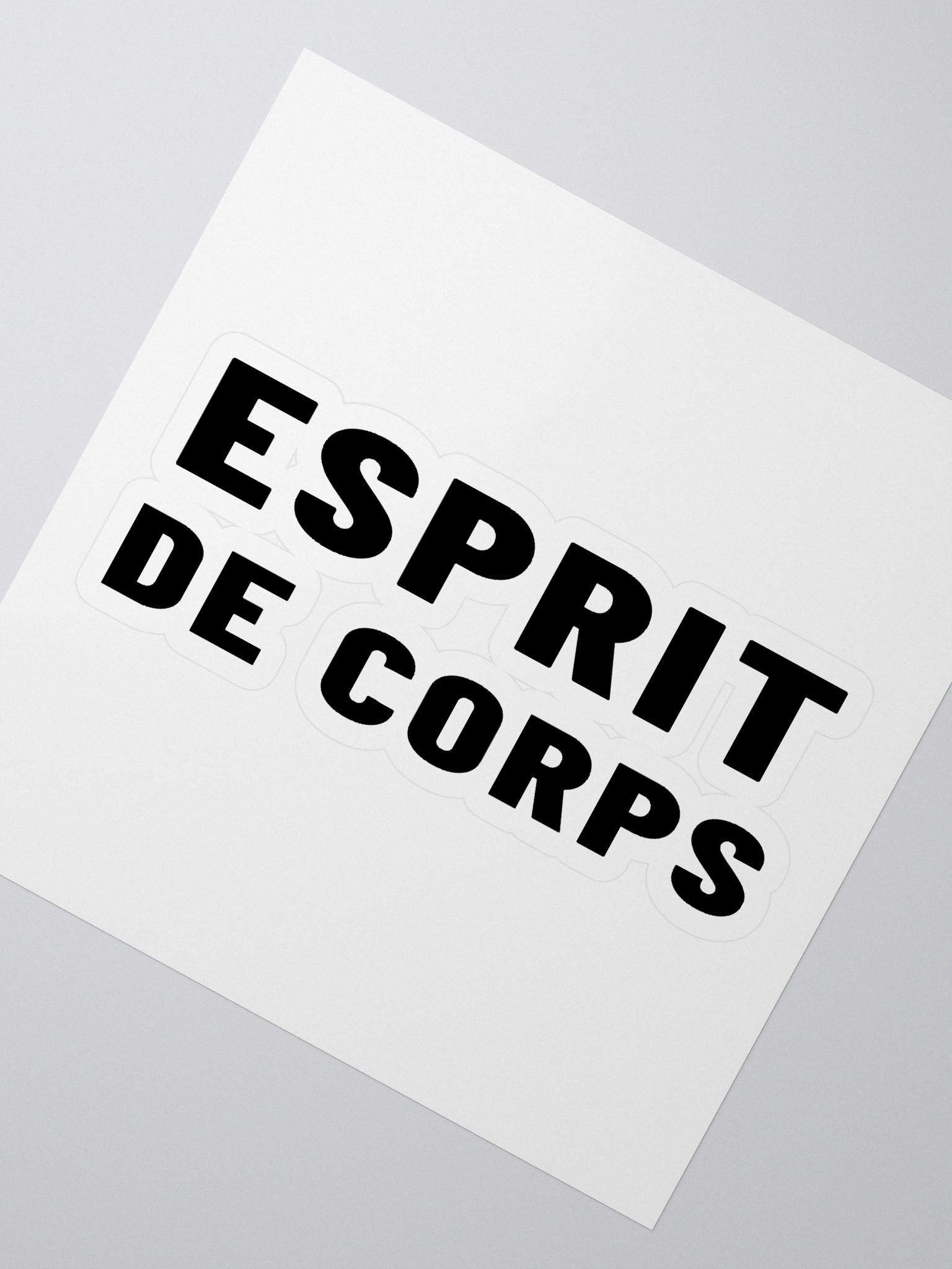 Esprit Logo Sticker product image (2)