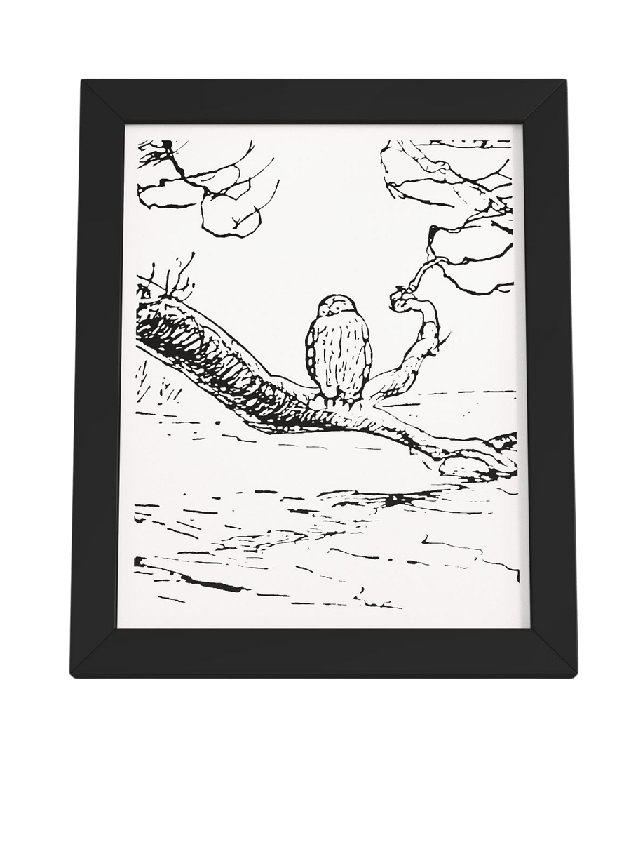 Owl on a Branch Framed Artwork product image (1)