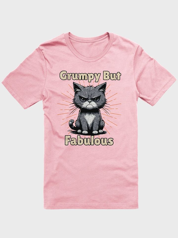 Grumpy But Fabulous Cat Cartoon T-Shirt product image (25)